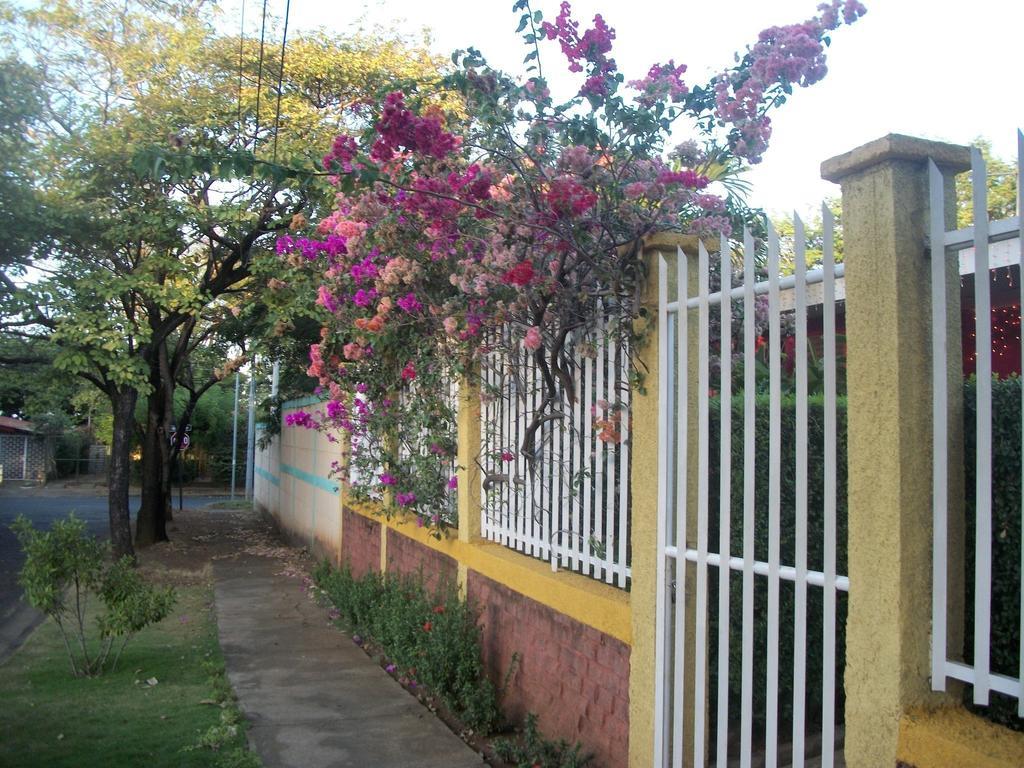 Hostal Casa Los Espinoza Managua Exteriér fotografie